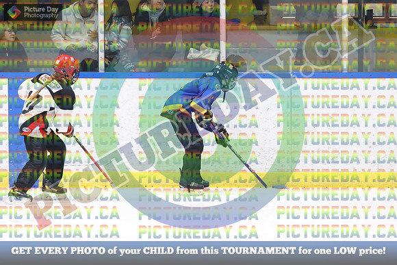 20250103-355332025 Whitby Ringette Tournament2025 Whitby Ringette Tournament