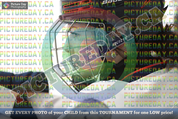20250131-8659