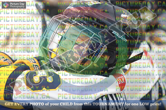 20250119-1936819