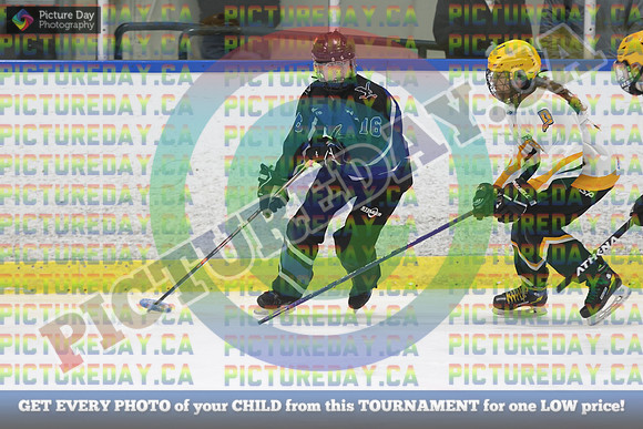 20250103-138932025 Whitby Ringette Tournament