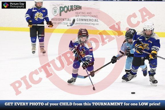 20240414-15672142024 Alliance HL Championships