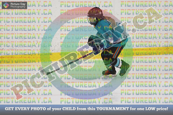 20250131-4627