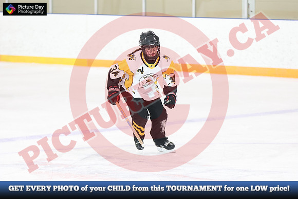 20241214-0278142024 St Marys Sinpers Ringette Tournament