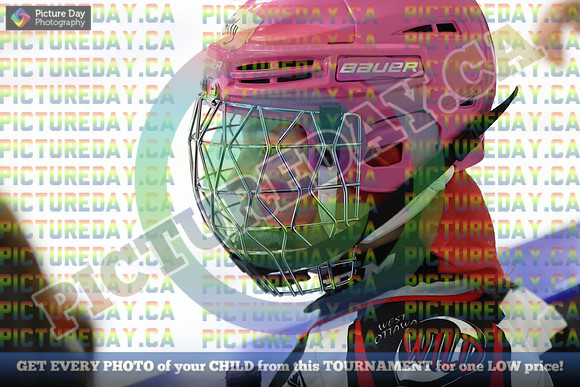 20250208-55458