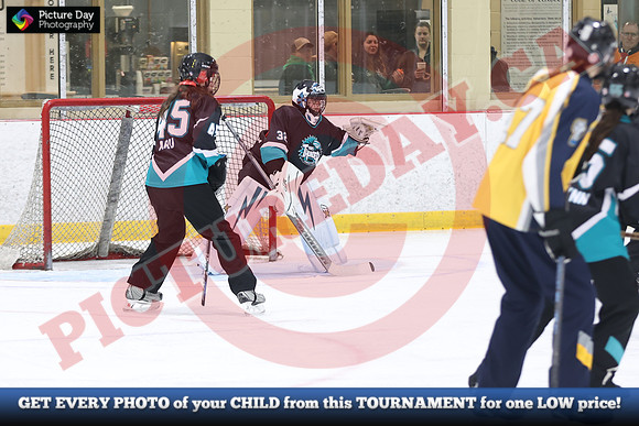 20241214-0427142024 St Marys Sinpers Ringette Tournament