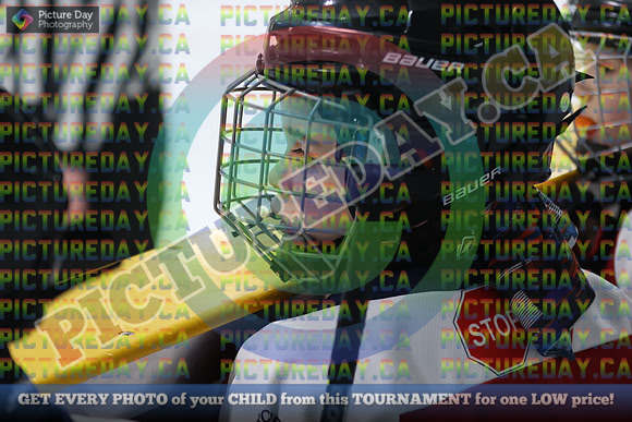 20250131-007431