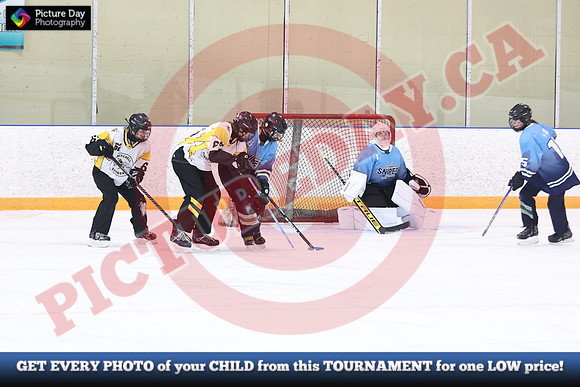20241214-0289142024 St Marys Sinpers Ringette Tournament