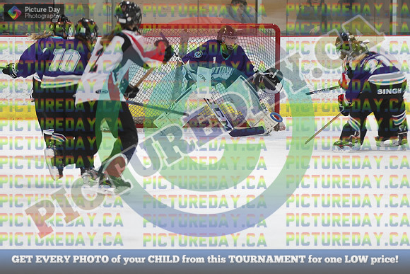 20250207-4178