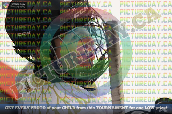 20250221-484321