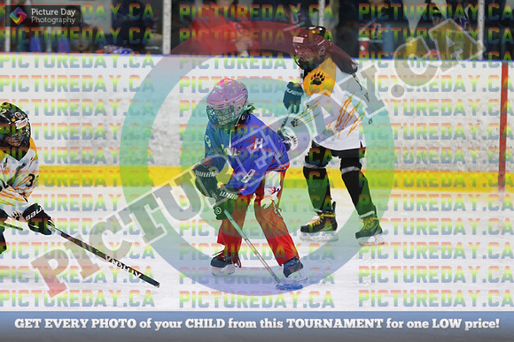 20250406-16448