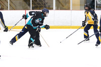 20241214-0373142024 St Marys Sinpers Ringette Tournament