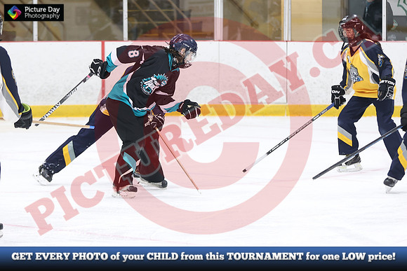 20241214-0373142024 St Marys Sinpers Ringette Tournament