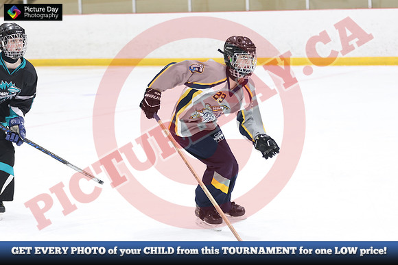 20241215-4811152024 St Marys Sinpers Ringette Tournament
