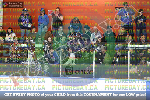 20250404-20950