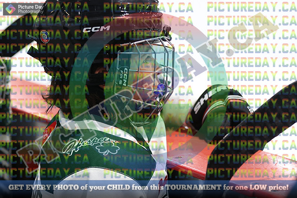 20250214-298214