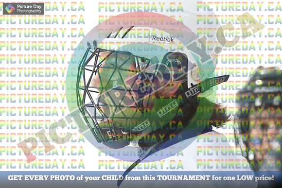 20250208-8284