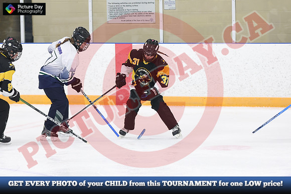 20241215-5590152024 St Marys Sinpers Ringette Tournament