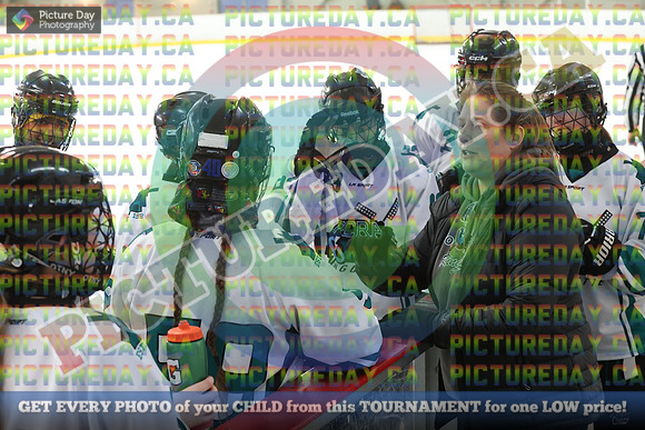 20250208-7402
