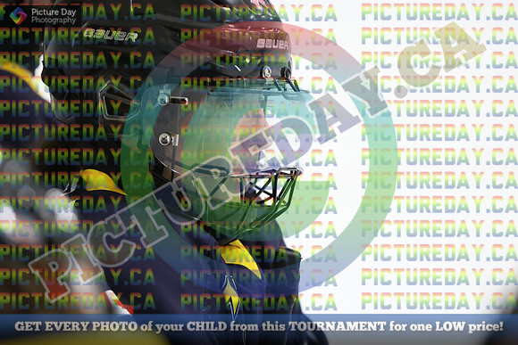 20250301-12346
