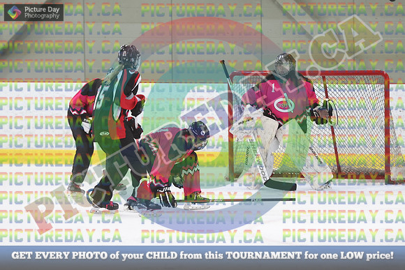 20250208-7875