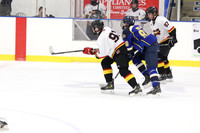 20241116-10103