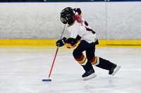 pm 02.30 CanScar-2 [B T2] Sunderland Stingerz vs Clarence Rockland Falcons - Gaudreau