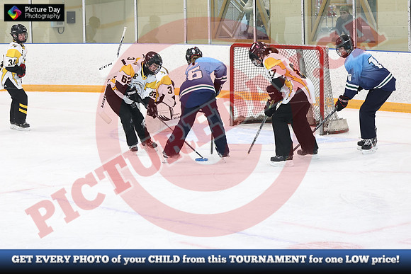 20241214-0264142024 St Marys Sinpers Ringette Tournament