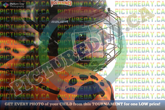 20250201-16926