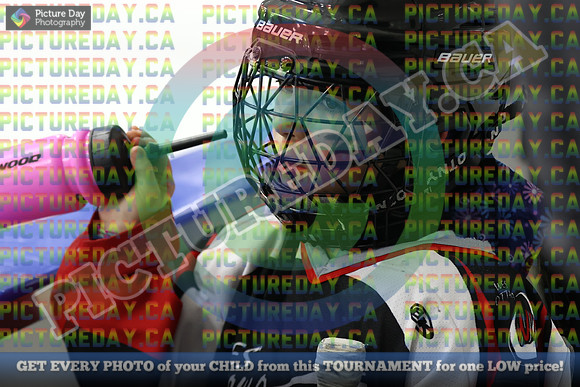 20250208-52808