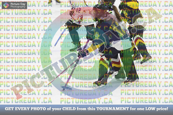 20250403-2676