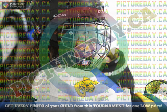 20250201-11557