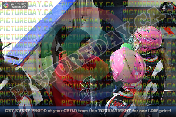 20250208-52848