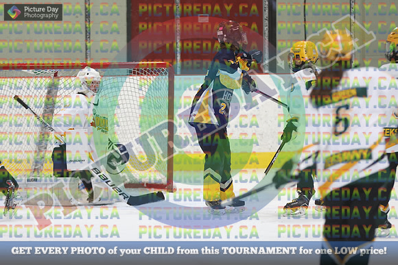 20250208-9374