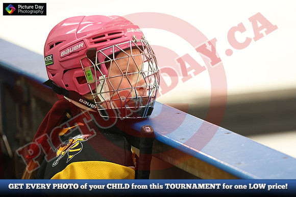 20241214-2340142024 St Marys Sinpers Ringette Tournament