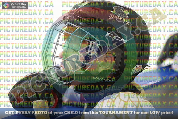 20250222-8911