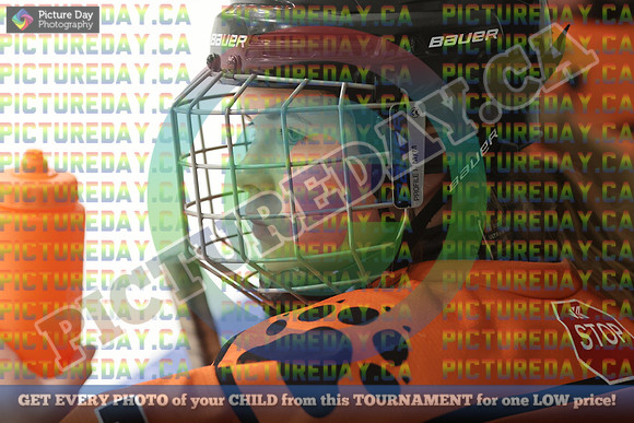 20250202-23929
