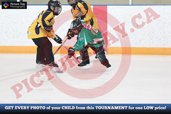20241214-1872142024 St Marys Sinpers Ringette Tournament