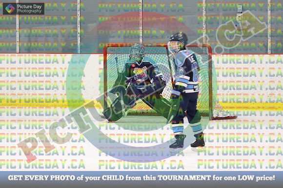 20250221-483521