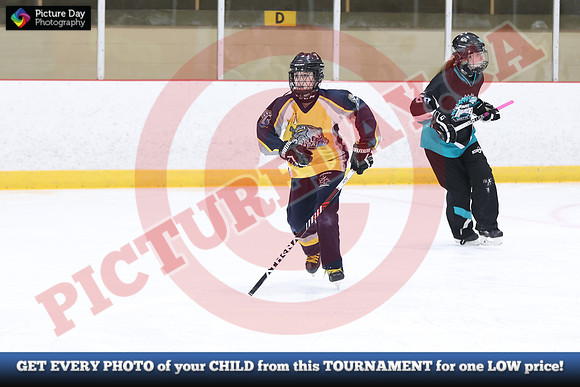 20241214-0415142024 St Marys Sinpers Ringette Tournament