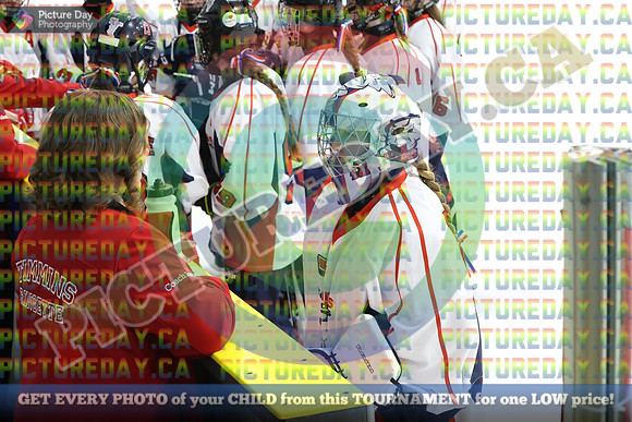 20250313-0882