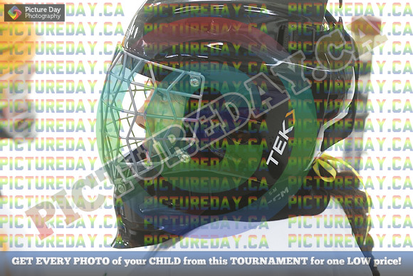 20250208-8654