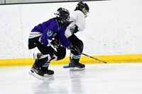 pm 06.15 TCC-West [A T2] Ottawa Ice - Reilly vs Ottawa Ice - Baker