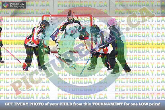 20250209-12651