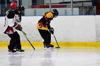 am 10.00 CanScar-4 [B T2] Waterloo Wildfire vs Sunderland Stingerz