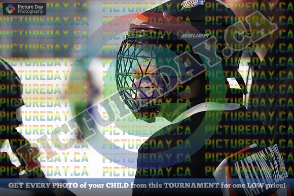 20250313-2919