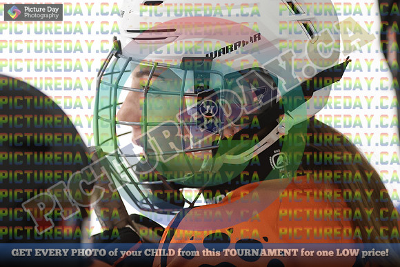 20250201-16858