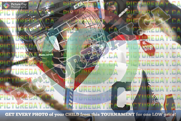 20250131-8882