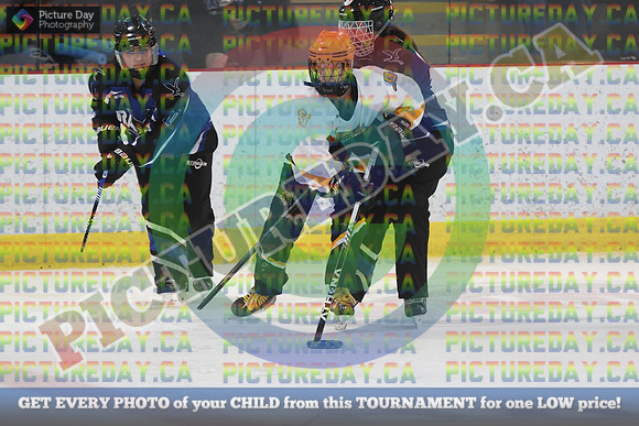 20250207-3219