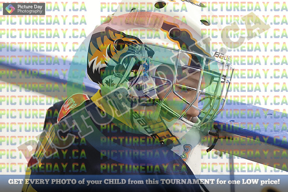 20250221-3396