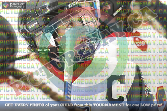 20250131-8883